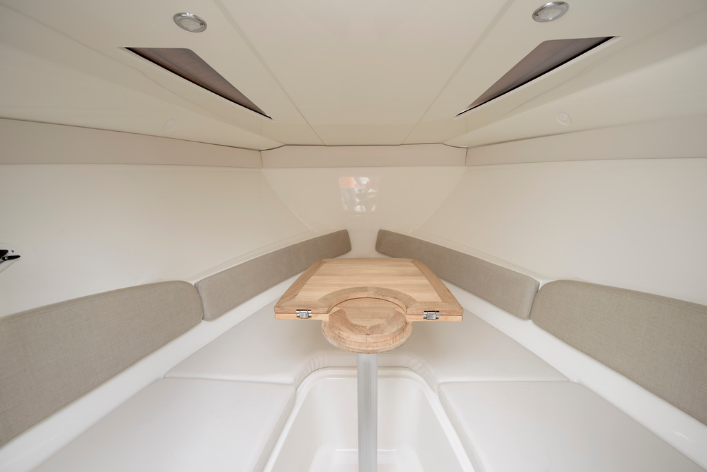 Bayliner GreenCruiser 3